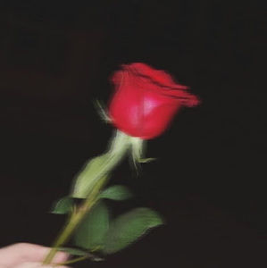 Meet your Posher, Meideris